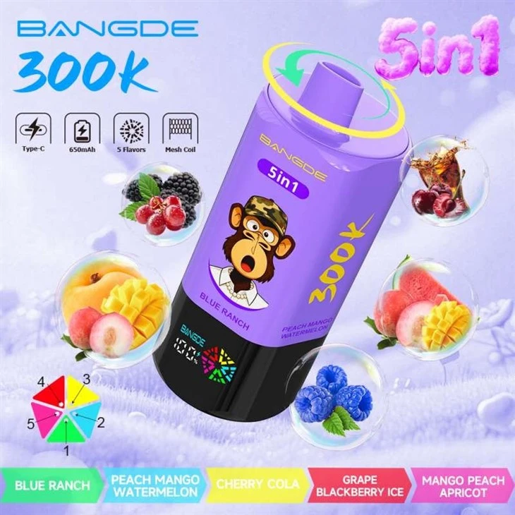 BANG DE 5in1 300000 suppliers BANG DE 5in1 300000 suppliers