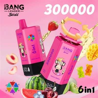 'Tek kullanımlık' Artık Kısa{0}}Ömür Anlamına Gelmediğinde – Bang Leader 3000...