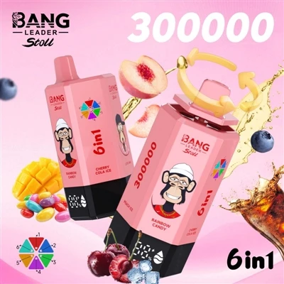 Bir Cihaz Daha Uzun Ömürlü: Bang Leader 300000 Puffs Vape Neden Uzun-Dönemli ...