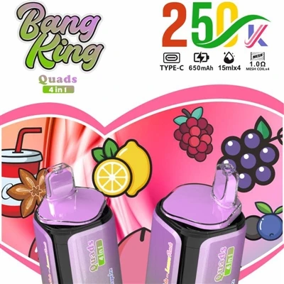 BANG KING Quads 4IN1 250000: Dört Bölmeli Birinci Sınıf Tek Kullanımlık E-sig...
