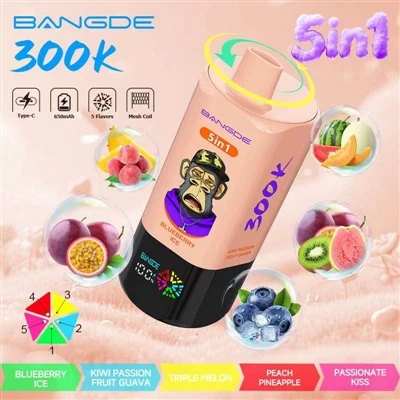 BANG DE 5IN1 300K: Tek Cihaz, Beş Tat, 300.000 Ultra-Uzun Pil Ömrü