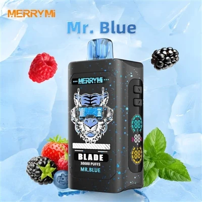 Merry Mi Blade 30000: Sadece Özellikleri Arttırmak Değil, Gerçekten Dayanıklı...