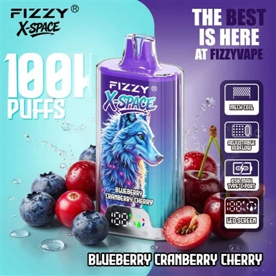 Fizzy 100K X Space: Bir cihazın uzun süre dayanması dikkate değer bir şey değ...