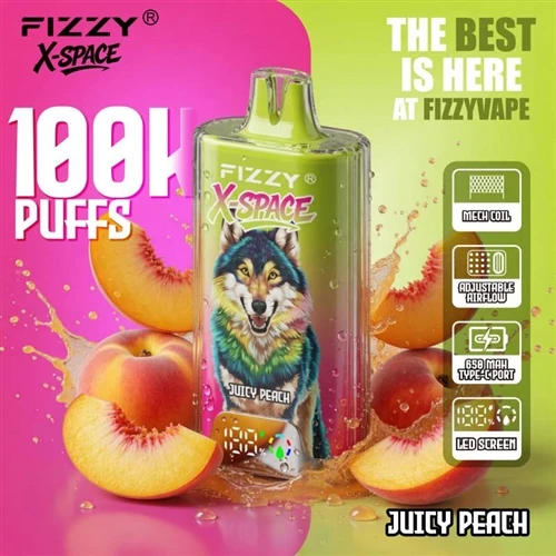 Fizzy X Space 100K: Yüksek-Kapasiteli Tek Kullanımlık Elektronik Sigaraların ...