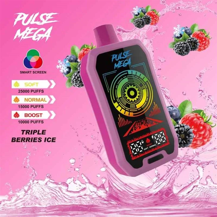 R&M PULSE MEGA 25000 Puflar