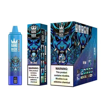 Bang BOX 20000 Puffs Akıllı Ekran Tek Kullanımlık Vape
