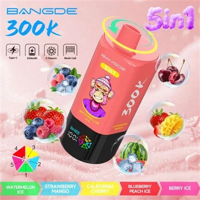 BANG DE 300K 5'i 1 arada