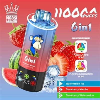 Bang Lideri 110K Puffs