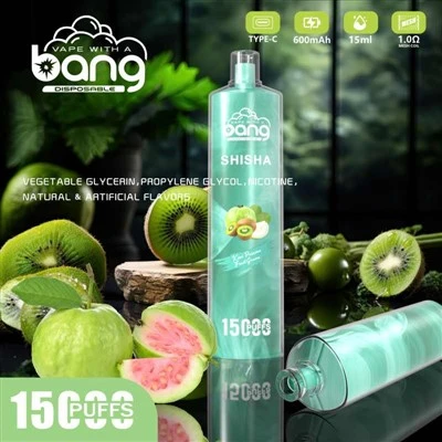 Bang SHISHA 15000 Puff Tek Kullanımlık Vape