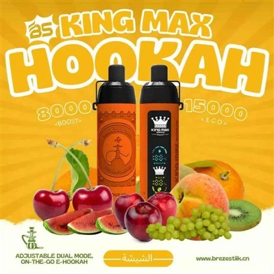 BS King Max Nargile 15000