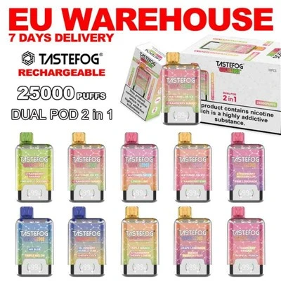 TASTEFOG GEMINI 25000