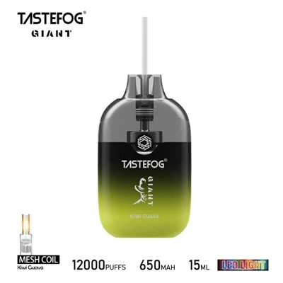TASTEFOG DEV 12000