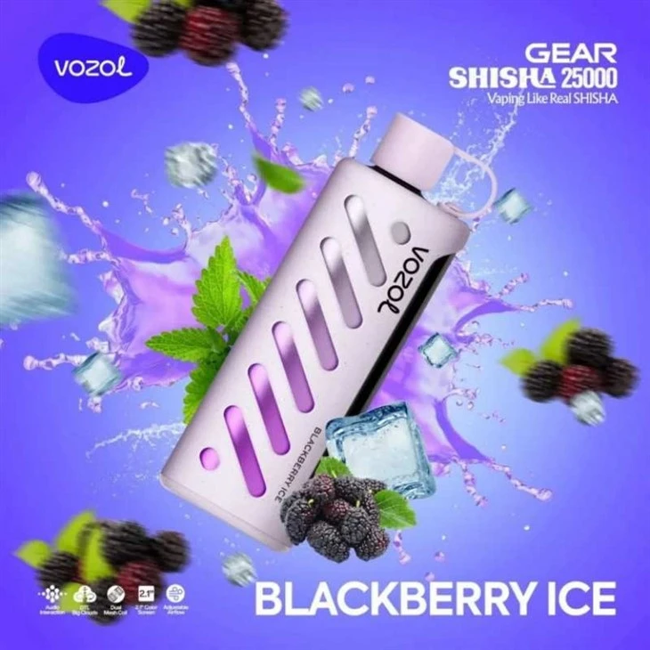 VOZOL GEAR SHISHA 25000 3 VOZOL GEAR SHISHA 25000 3