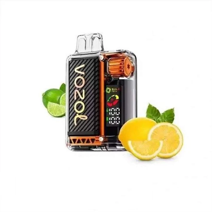 VOZOL VISTA20000 18